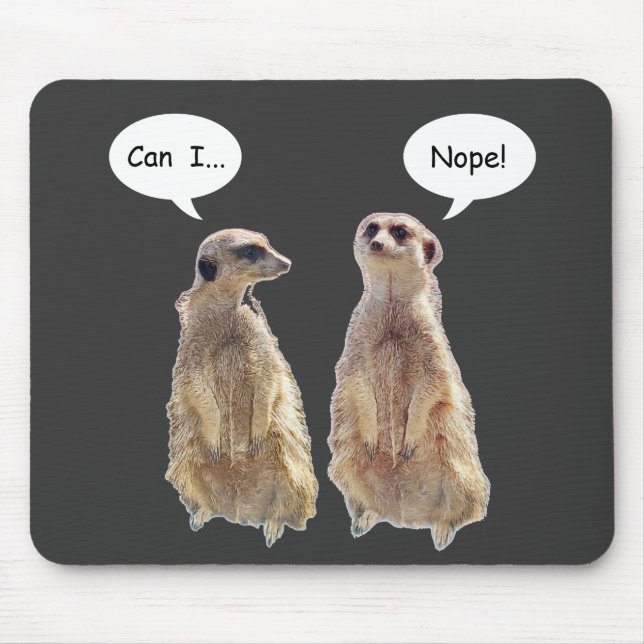 Lustigt, söt meerkats i konversationen musmatta (Framsidan)