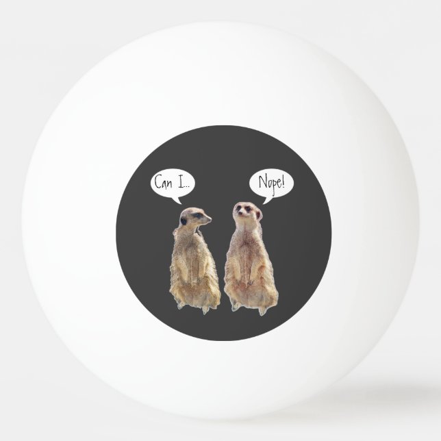 Lustigt, söt meerkats i konversationen pingisboll (Framsidan)