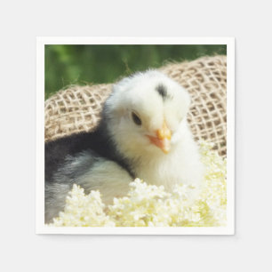 Lustigt sött djurkycklingfarm iPad Pro Cover Pappersservett