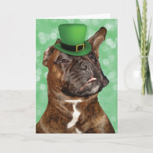 Lustigt St. Patrick's Day Irish Boxer Hund Kort