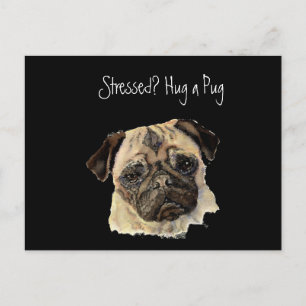Lustigt, Stressat? Hugga en pug!, Hund, Pet, Anima Vykort