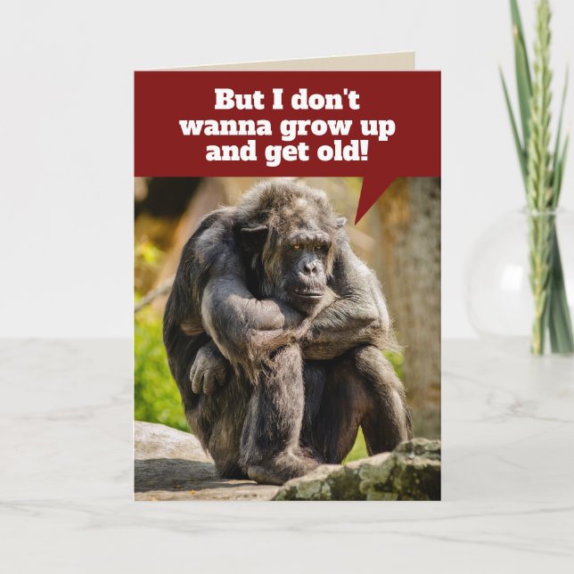 Lustigt Sulking Chimpanzee - vill inte växa upp Kort (Framsida)