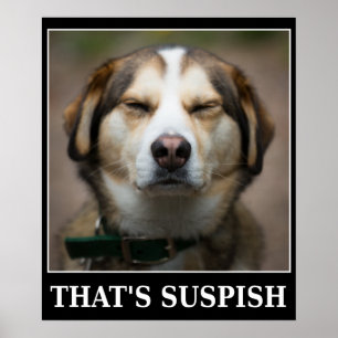 Lustigt Suspish Hund Meme Poster