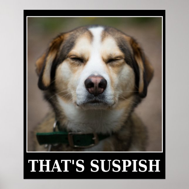 Lustigt Suspish Hund Meme Poster (Framsidan)