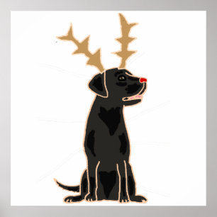 Lustigt Svart lab med Reindeer Antlers jul Poster
