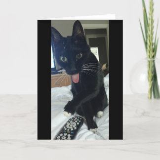 Lustigt Tack. Katten gömmer fjärr Tack Kort