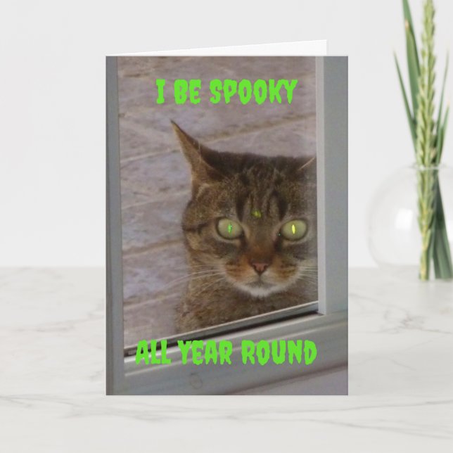 Lustigt taloky Cat Halloween-kort Kort (Framsida)