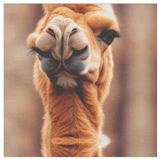 Lustigt tematakamera över hela utskriften tyg