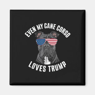 Lustigt till och med min Käpp Corso Kärlek Trump P Magnet