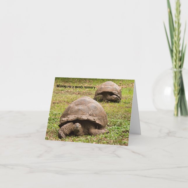 Lustigt Tortoise-kort Tack Kort (Framsida)