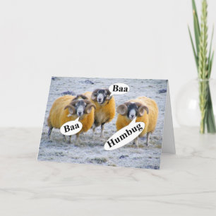 Lustigt tre vises får jul helgkort