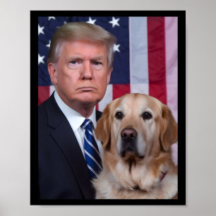 Lustigt Trump och Golden Retriever Hund USA flagga Poster