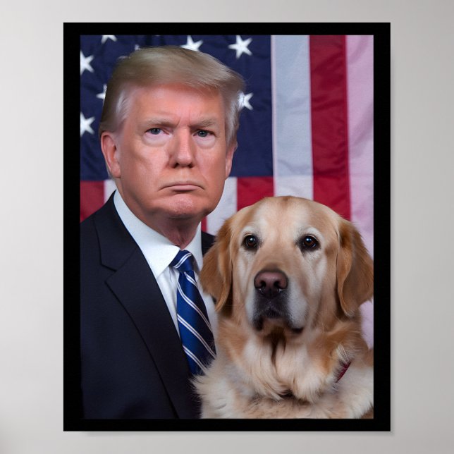 Lustigt Trump och Golden Retriever Hund USA flagga Poster (Framsidan)