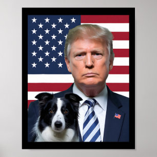 Lustigt trumpel och valet i Gräns Collie Hund USA Poster