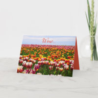 Lustigt, tulpaner, blommor, färgämnen, påsk