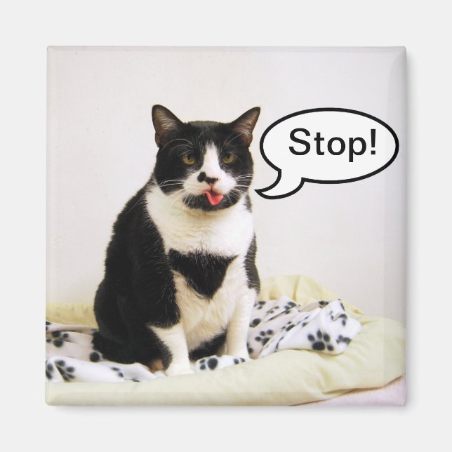 Lustigt Tuxedo Cat "Stop!"! Magnet (Framsidan)
