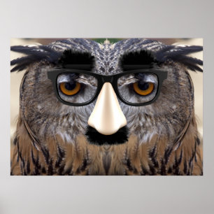 Lustigt Uggla Ansikte med mask Poster