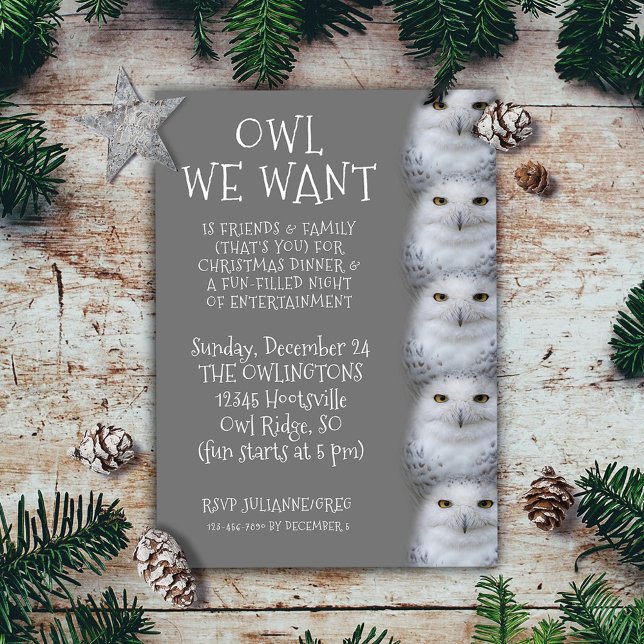 Lustigt Uggla vi vill ha jul... Snowy Uggla Inbjudningar (Funny Owl We Want for Christmas ... Snowy Owls Invitation Flat Card Cover Photo.)