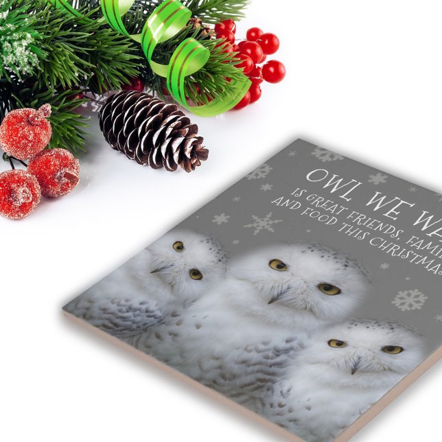 Lustigt Uggla vi vill ha jul... Snowy Uggla Kakelplatta (Zazzle Funny Owl We Want for Christmas ... Snowy Owls Tile Cover Photo.)