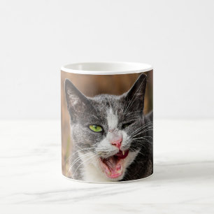 Lustigt, ungande, trött, kattkaffe mugg