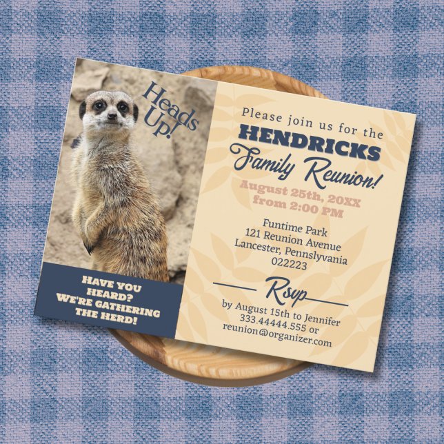 Lustigt, unikt Meerkat-familjeåterförening Spara d Vykort (Funny Family Reunion Invitation with Meerkat)