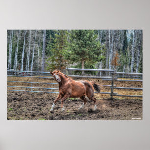 Lustigt, uppspelt jestnut Ranch Horse Equine Photo Poster