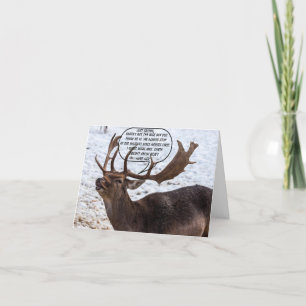 Lustigt vad Reindeer känner till jul Helgkort