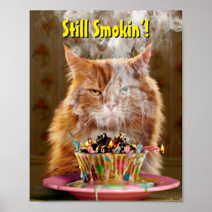 Lustigt vevy-katt med smält kupaka från födelse poster