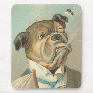 Lustigt Vintage, Hund Musmatta