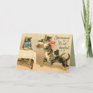 Lustigt Vintage Kat-julkort Helgkort