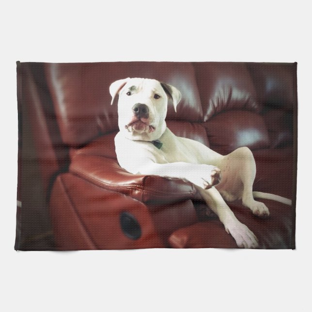 Lustigt, vit bukhund på soffan kökshandduk (Horisontell)