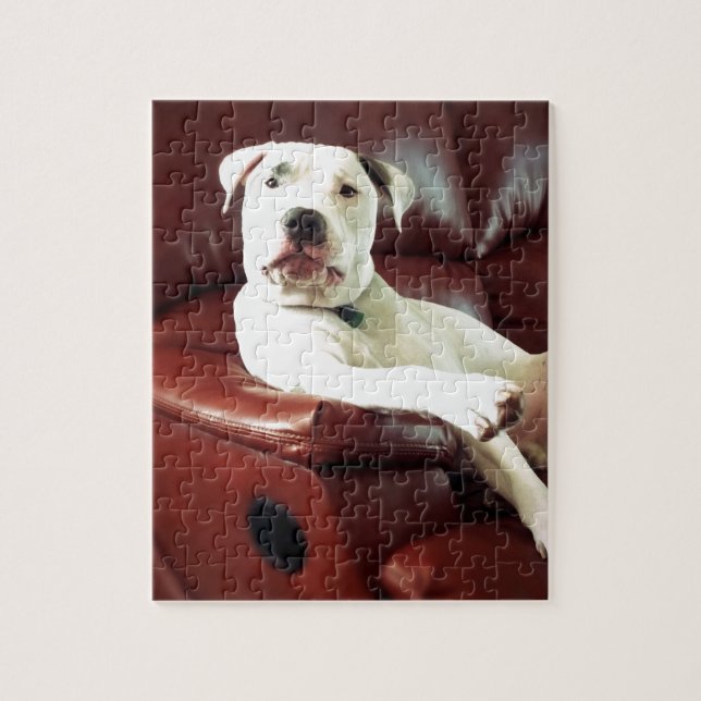Lustigt, vit bukhund på soffan pussel (Vertikal)