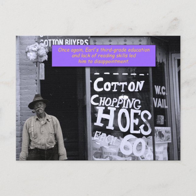 Lustigt vykort - bomullsburkar (Framsida)