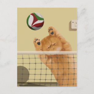 Lustigt Whimsious-lekfull katt: Volleyball Vykort