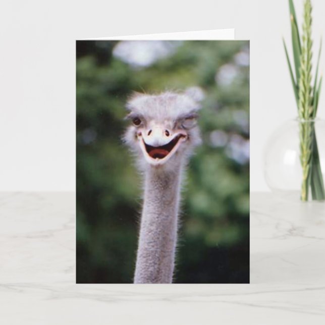 Lustigt Winking Ostrich Greeting Card (Anpassade) Tack Kort (Framsida)