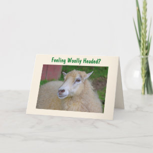 Lustigt Wooly Sheep Kort