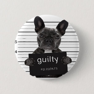 Lustiny Fransk Bulldog Jail Mugshot Bad Hund Crimi Knapp
