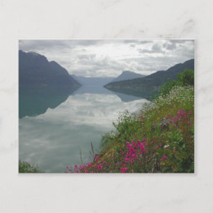 Lustrafjorden Panorama Vykort