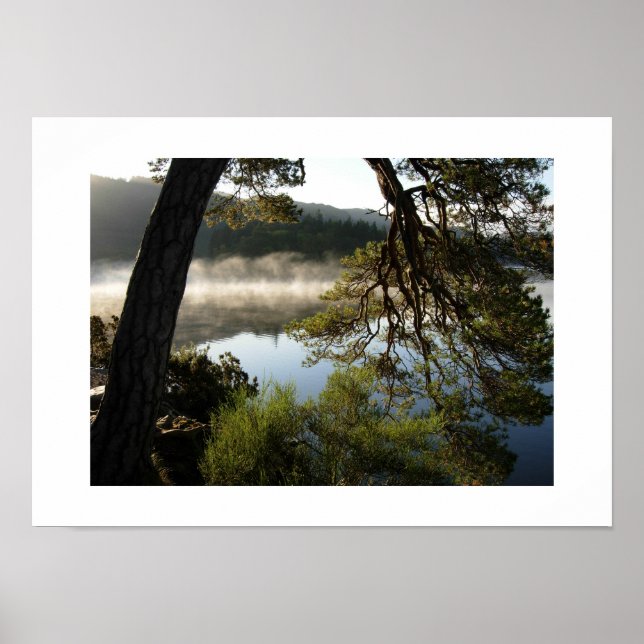 Lutande tall vid Derwentwater: Lake District Poster (Framsidan)