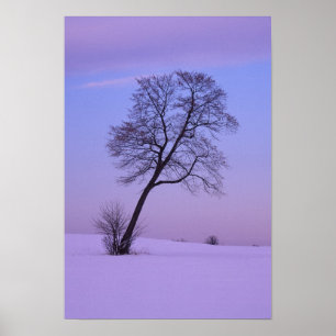 Lutande träd i snöigt fält; Chippewa County; Poster