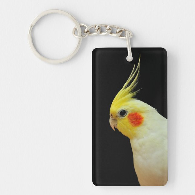 Lutino Cockatiel (Framsidan)