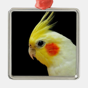 Lutino Cockatiel Julgransprydnad Metall