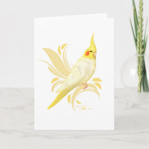 Lutino Cockatiel Kort