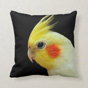 Lutino Cockatiel Kudde