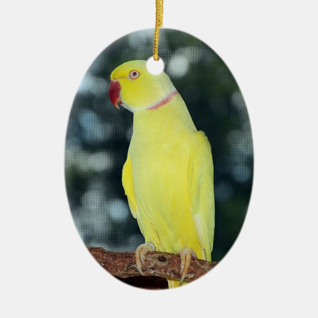 Lutino indisk Ringneck parakiternatur Julgransprydnad Keramik (Framsidan)
