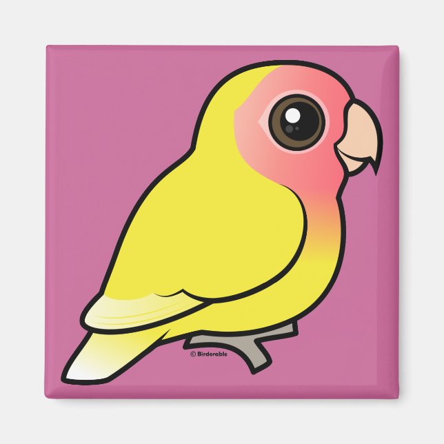 Lutino Peach-face Lovebird Magnet (Framsidan)
