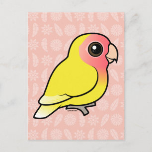 Lutino Peach-face Lovebird Vykort