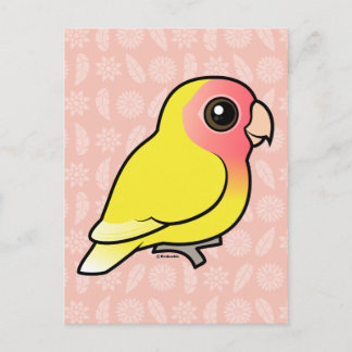 Lutino Peach-face Lovebird Vykort