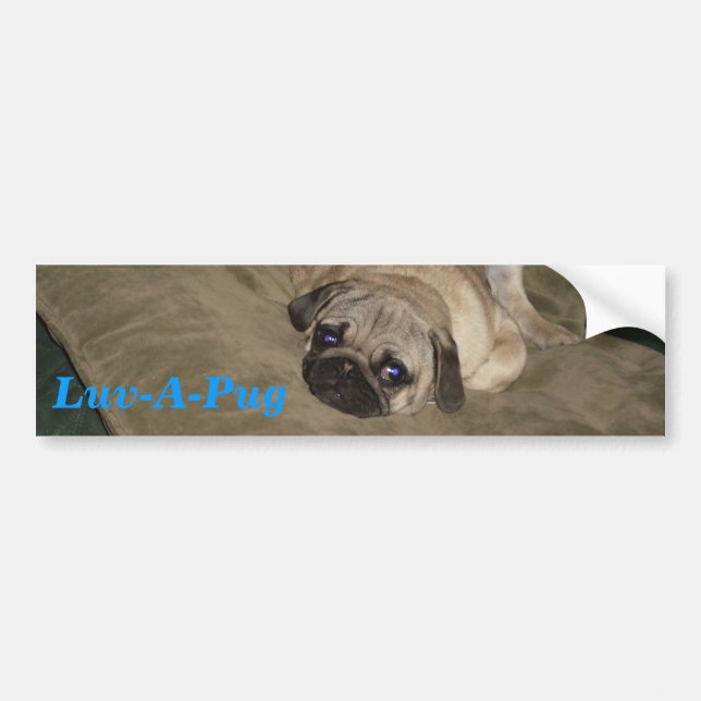 Luv-EN-Mops Bildekal (Framsidan)