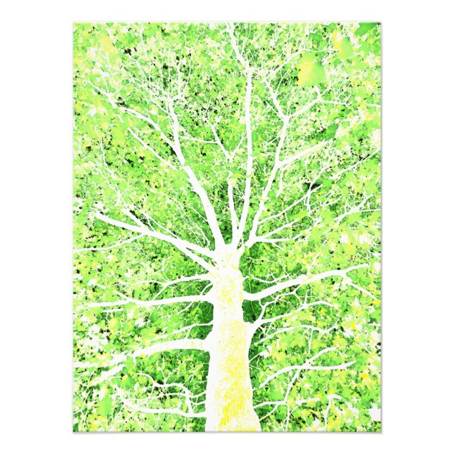 Lux Viridis Flavum 8 Fototryck (Framsidan)